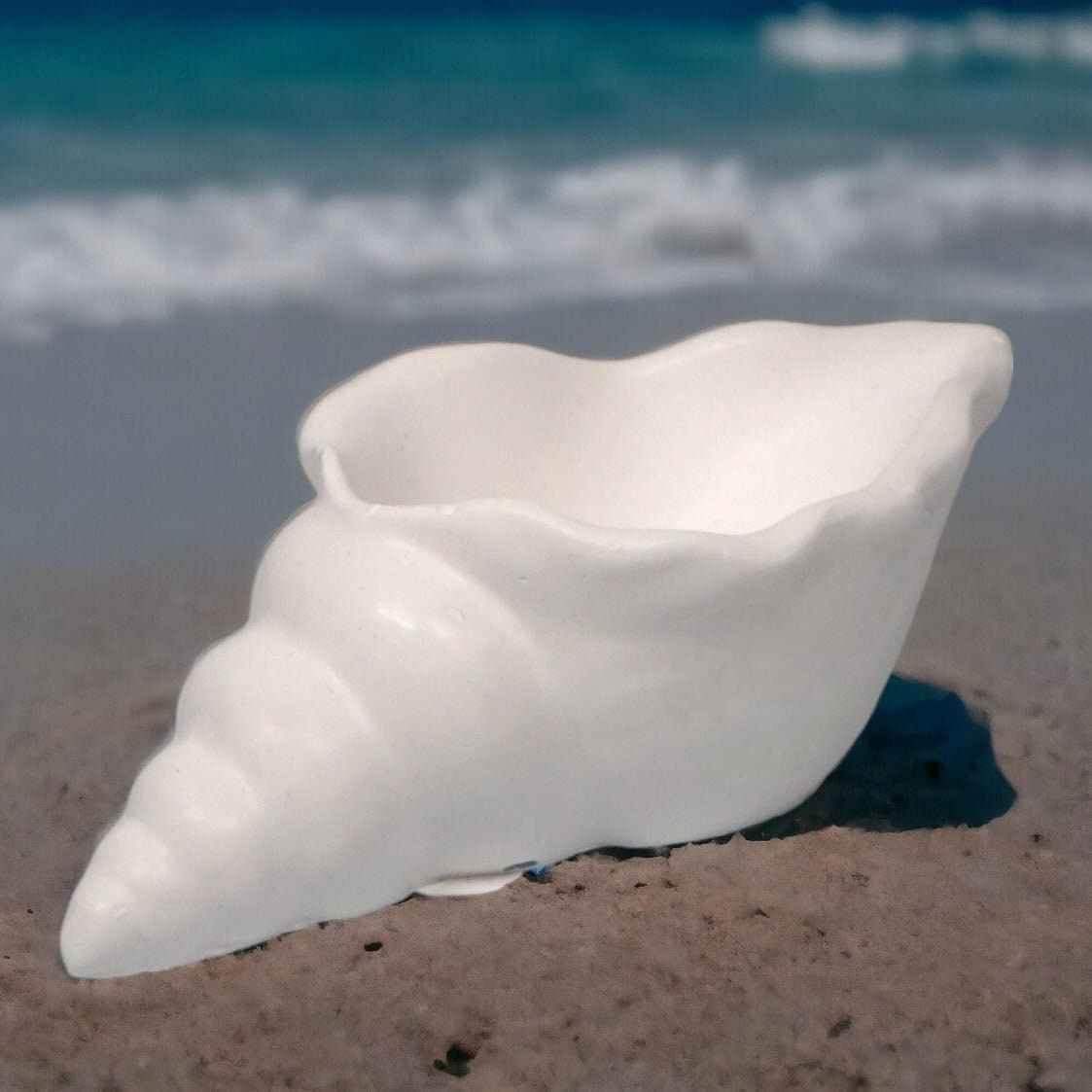 Maritime Muschel-Deko – Ein Hauch von Strand für dein Zuhause