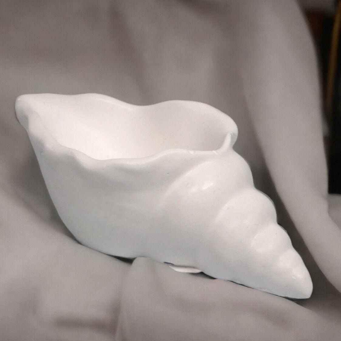 Maritime Muschel-Deko – Ein Hauch von Strand für dein Zuhause