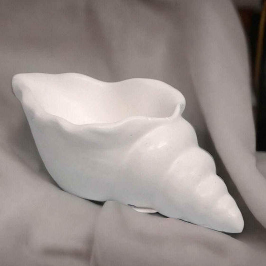 Maritime Muschel-Deko – Ein Hauch von Strand für dein Zuhause