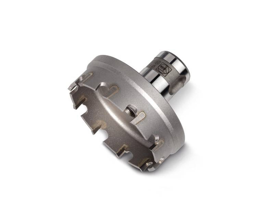 Fein gatasögbor af B-gráðu, með karbítoddi, Quick In Plus, gatasög fyrir málm, með karbítoddi, 80 mm kjarnabor