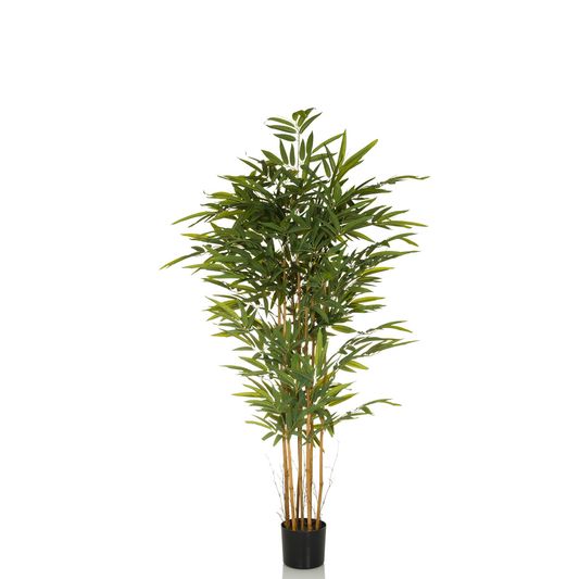 B-flokks Hjh Office Bamboo II gerviplanta, gervitré, gervigróður, 150 cm