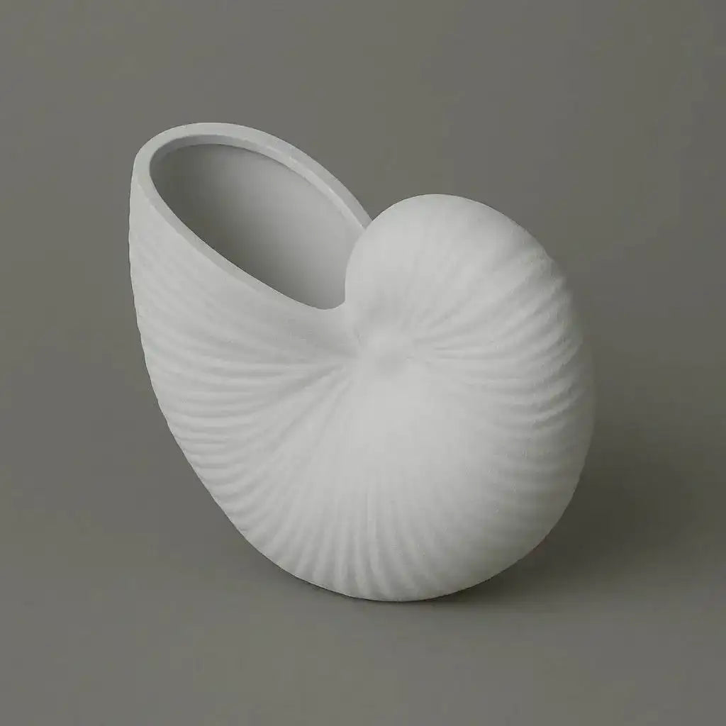 Nautilusmuschel – maritime Deko mit Urlaubsflair für dein Zuhause