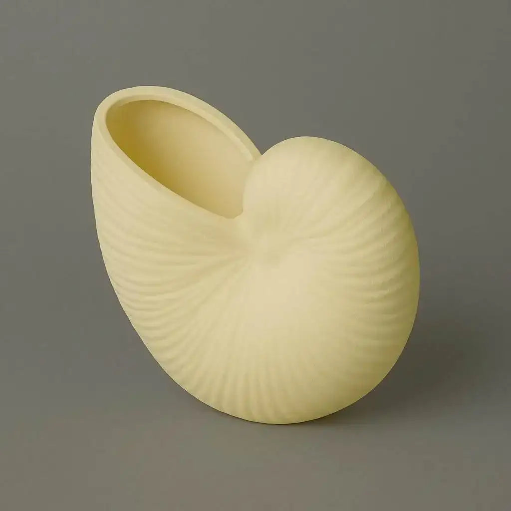 Nautilusmuschel – maritime Deko mit Urlaubsflair für dein Zuhause