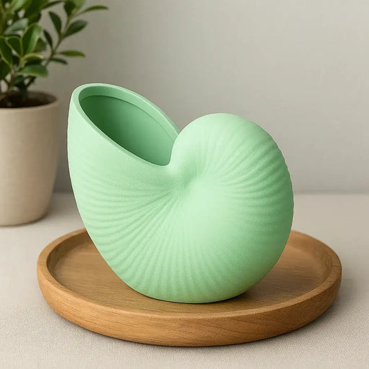 Nautilusmuschel – maritime Deko mit Urlaubsflair für dein Zuhause