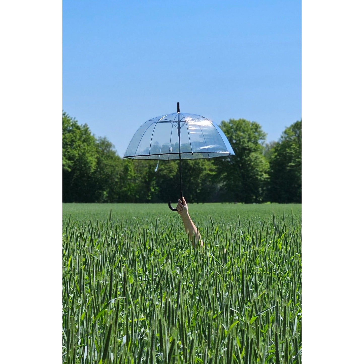 Regenschirm Glockenschirm Schirm Regen Glockenform rund klar transparent Ø 85 cm