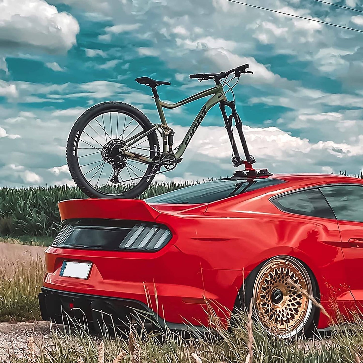 ROCKBROS bicycle carrier, roof rack with suction cups, quick assembly