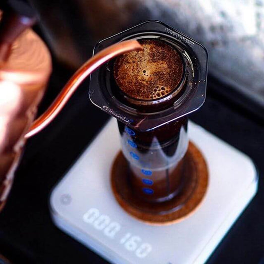 AeroPress Replacement Seal