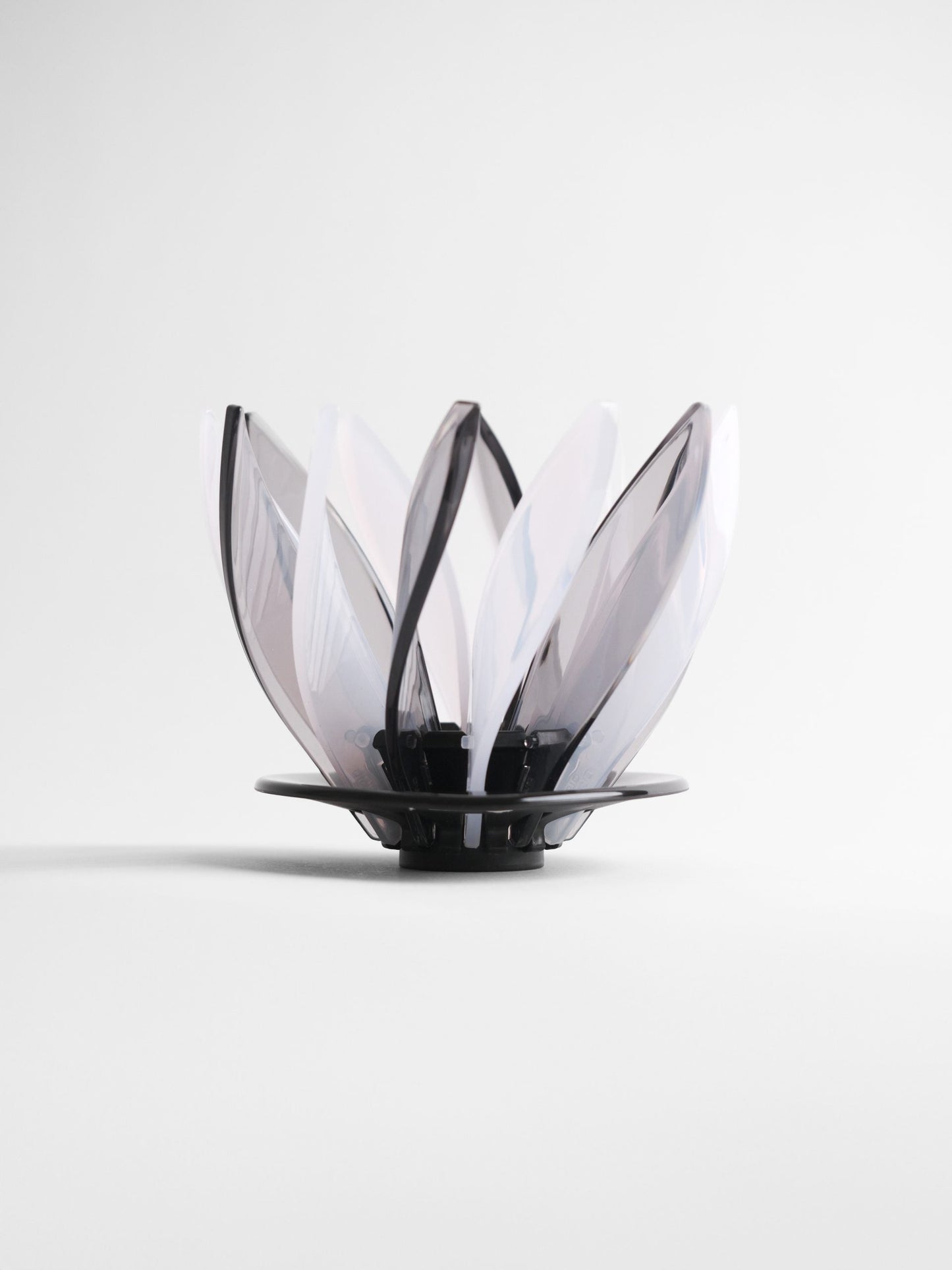 Hario Suiren Rib 6-Piece Set – Elegant Transparent Glassware