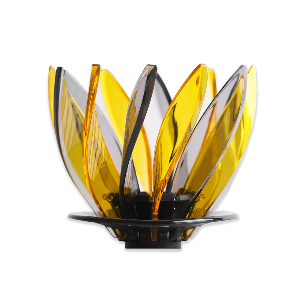 Hario Suiren Rib 6-Piece Set – Elegant Transparent Glassware